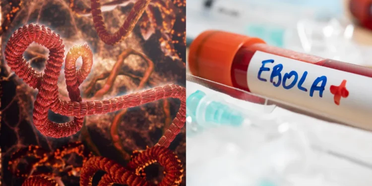 Congo Ebola outbreak 2026
